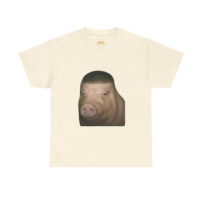Buzzcut pig