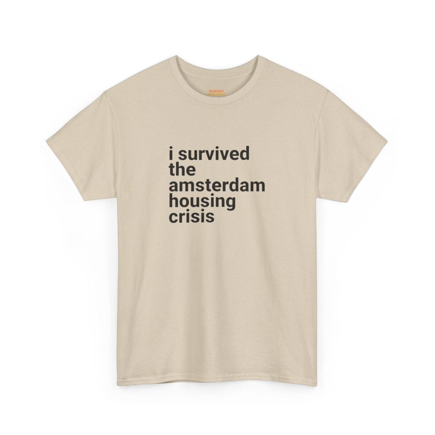I survived the ... housing crisis (customisable)