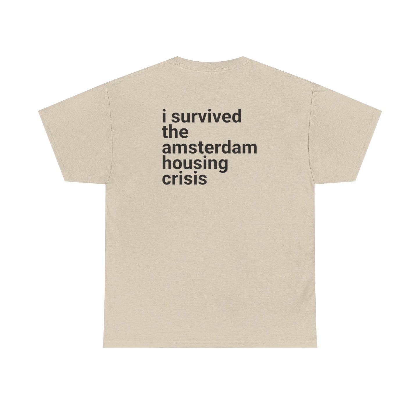 I survived the ... housing crisis (customisable)